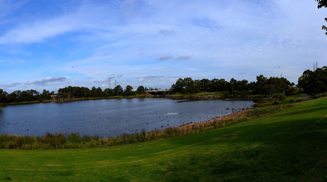 Panoramic view of a lake a park in broadmeadows Melbourne Victoria surrounded by lush green trees on a partly sunny blue sky with fluffy white and grey clouds