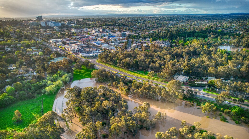 Aerial view of the Yarra Flats fooodplain in Heidelberg, Melbourne, during floods on 15 October 2022. Victoria, Australia.