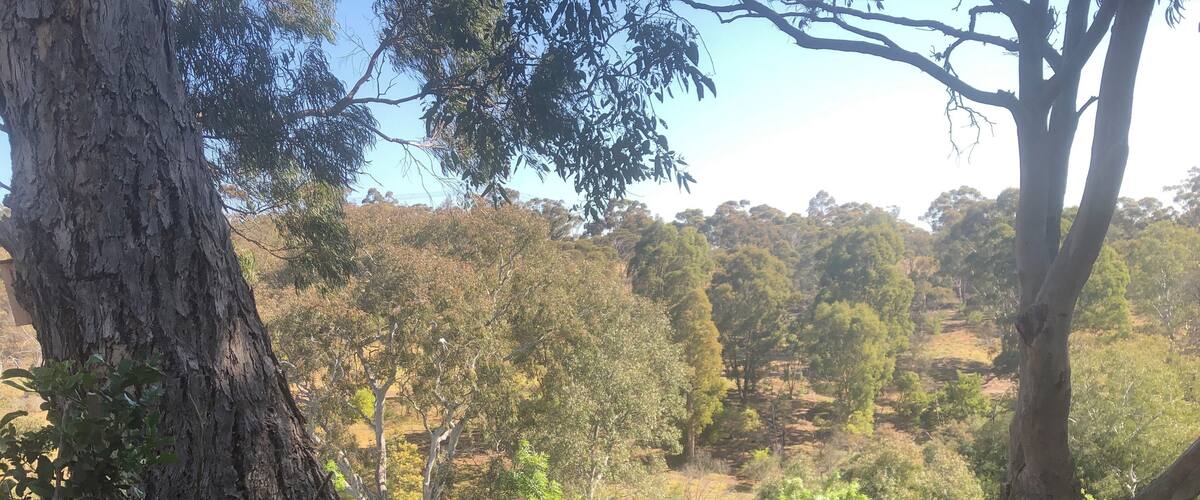 Brimbank Park in Keilor Victoria Australia is the view from #mybackyard. It has the Maribyrnong river running through it has an abundance of wildlife and walks for families The place to go for picnics.