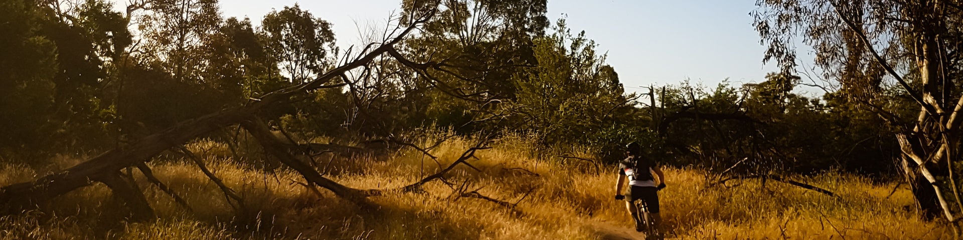 Une personne fait du vélo sur un chemin de terre qui traverse une zone herbeuse bordée d’arbres.