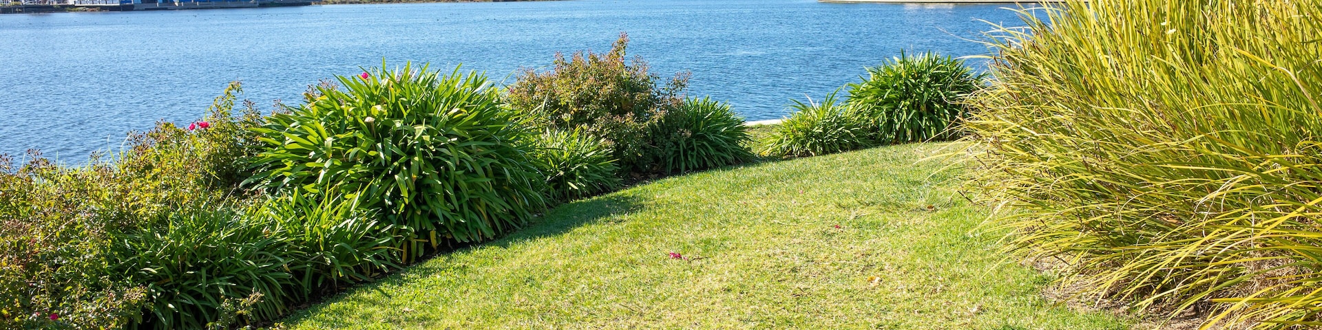 Orilla cubierta de césped con un lago, casas y un cielo azul despejado.