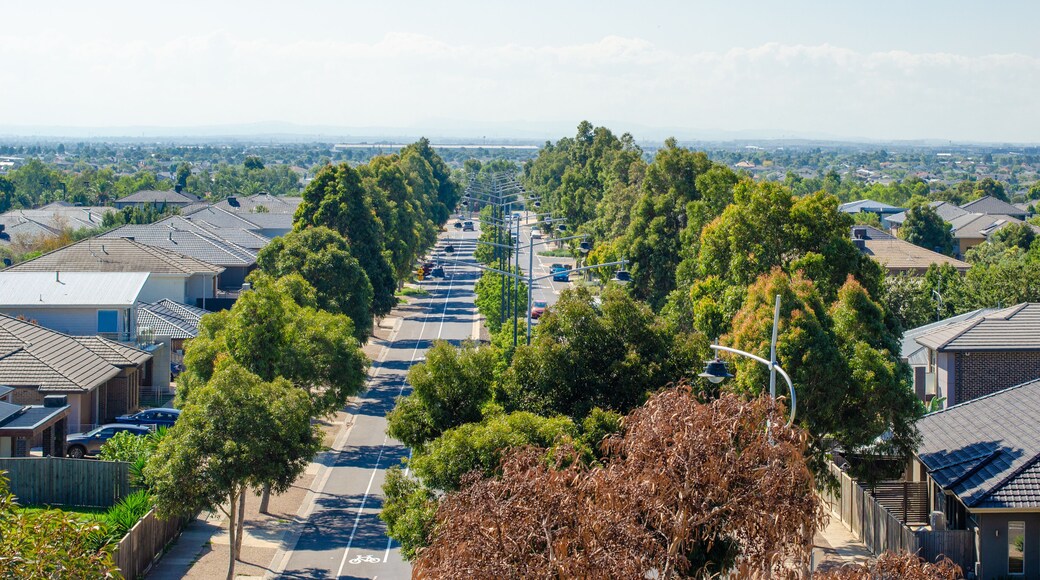 A main road in Melbourne's suburb lined with green trees and residential houses on sides. Elevated view of Australian homes. Copy space for text. Point Cook, VIC Australia.