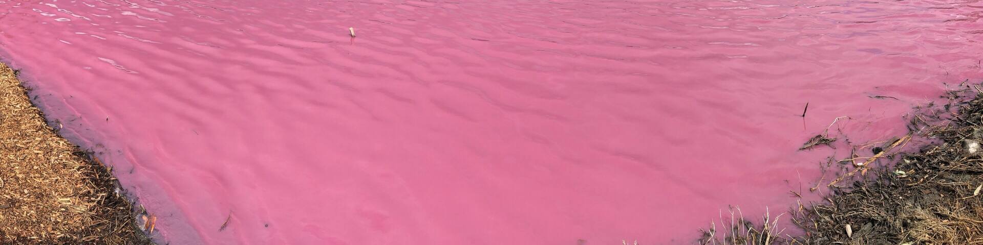 A river with pink water, a bridge, and a cloudy sky.