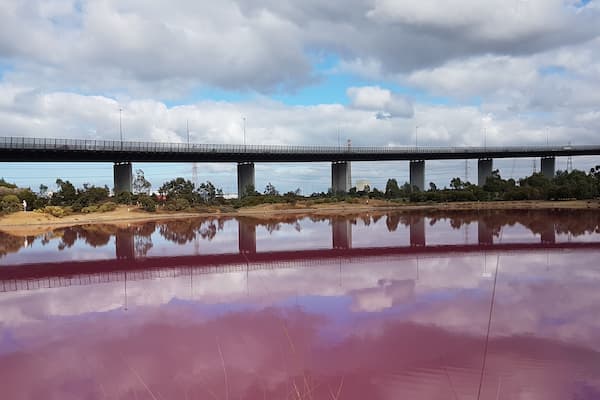 Westgate Lake turns pink. A combination of high salt and algae. Westgate bridge reflection.