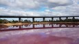 Westgate Lake turns pink. A combination of high salt and algae. Westgate bridge reflection.