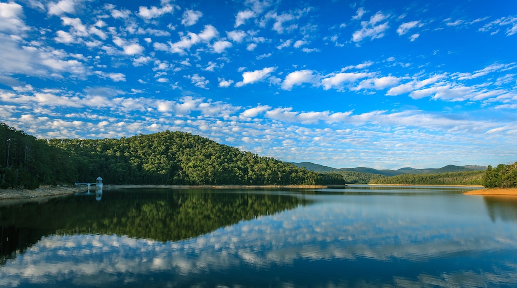 A calm lake reflecting the sky and surrounding forest.