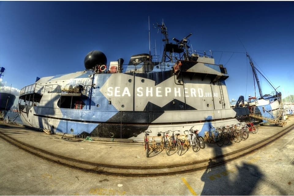 Ein großes Schiff namens 'Sea Shepherd' liegt in einem Hafen vor Anker, umgeben von Fahrrädern und Ausrüstung.