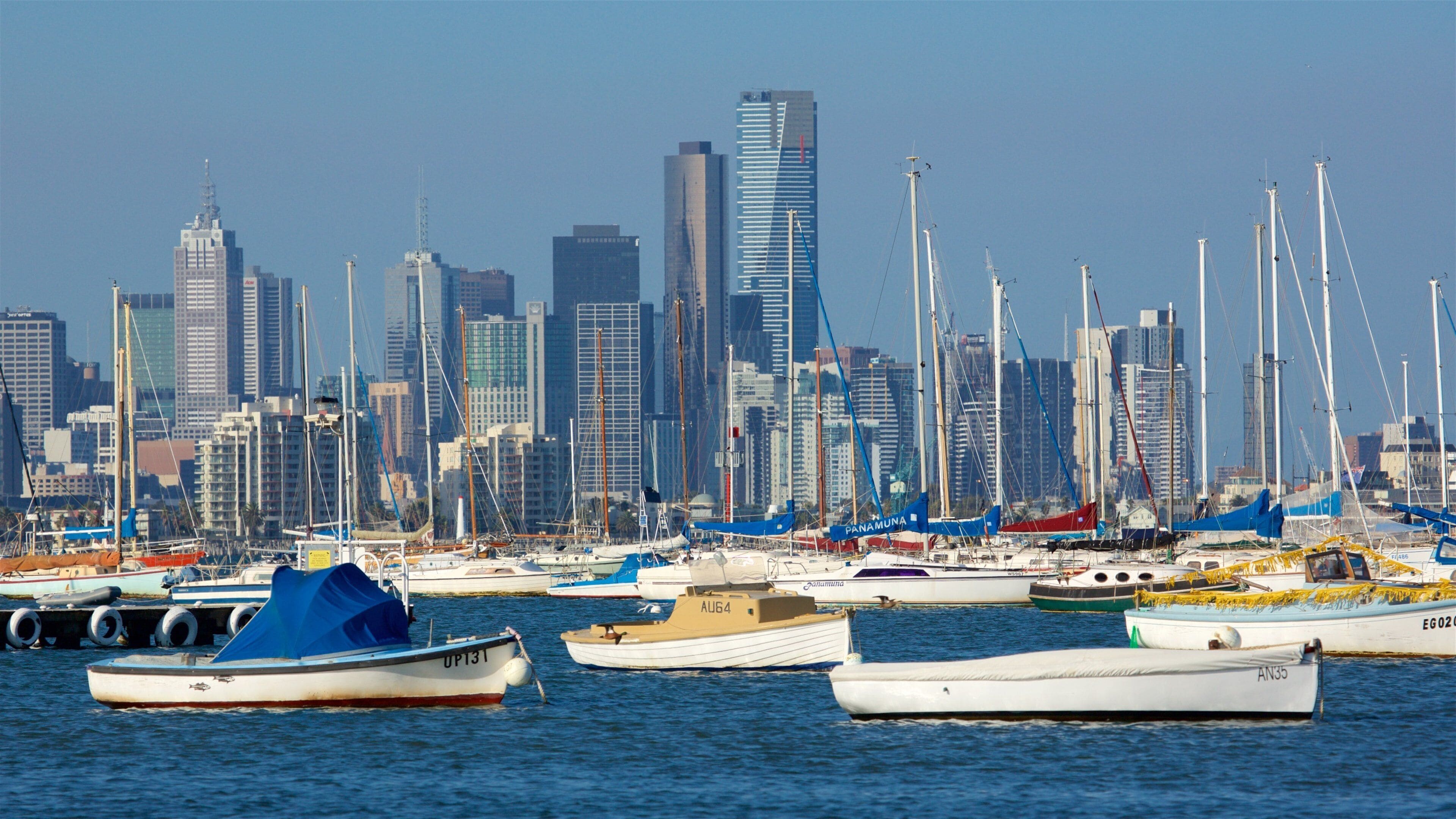 Williamstown mit einem Stadt, Hochhaus und Bucht oder Hafen