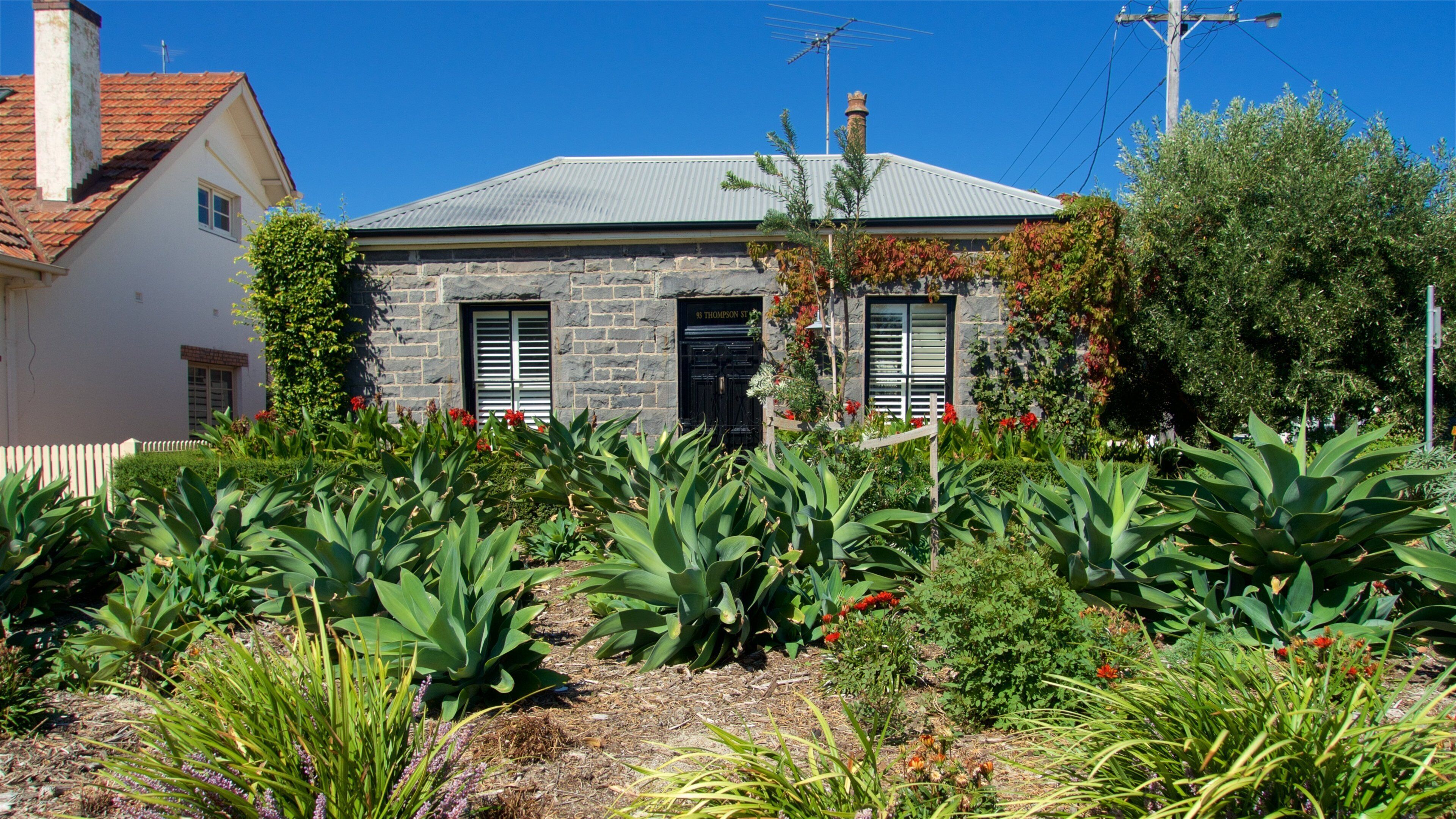 Williamstown mit einem Garten, Wildblumen und Haus
