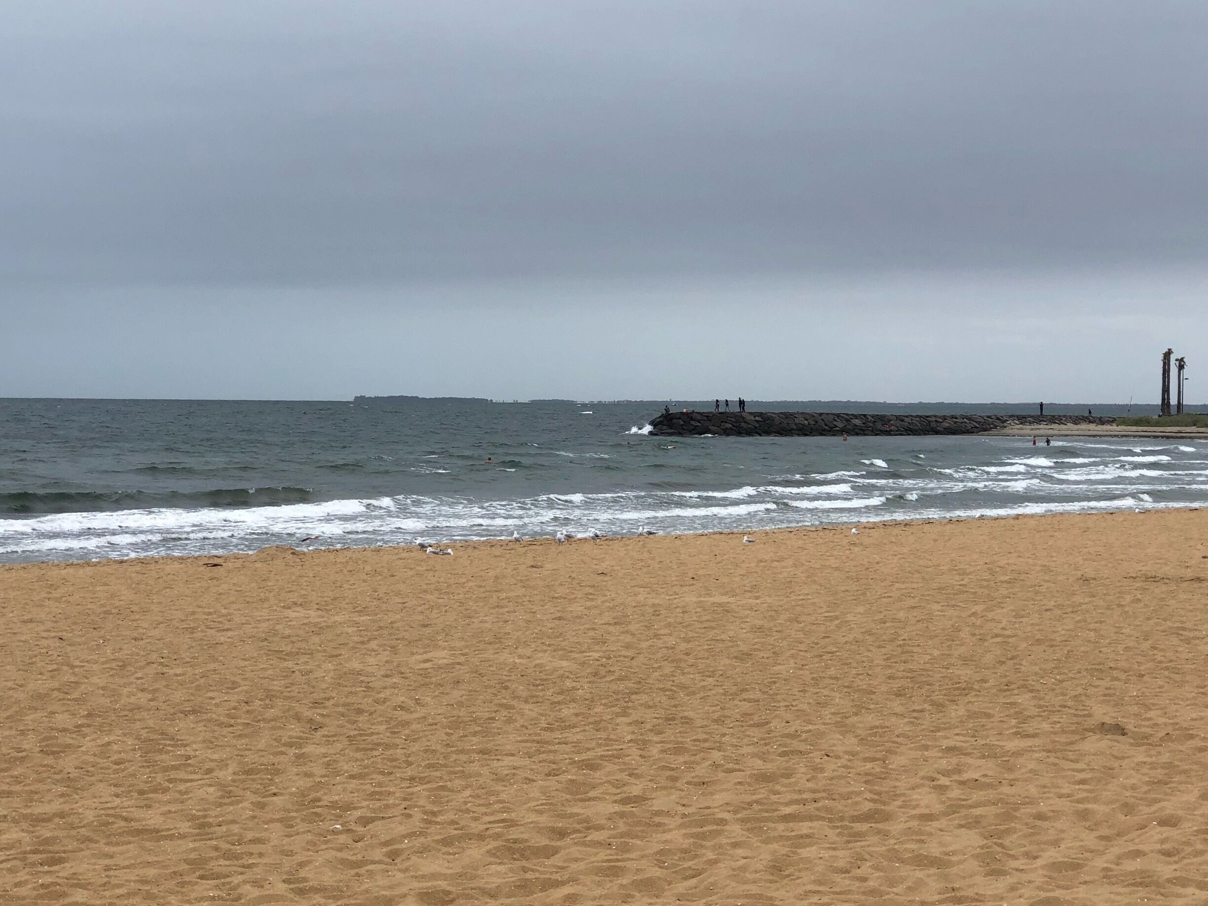 At only 22🔆C there are more seagulls than people on the beach. A great day for a stroll along the uncrowded beach