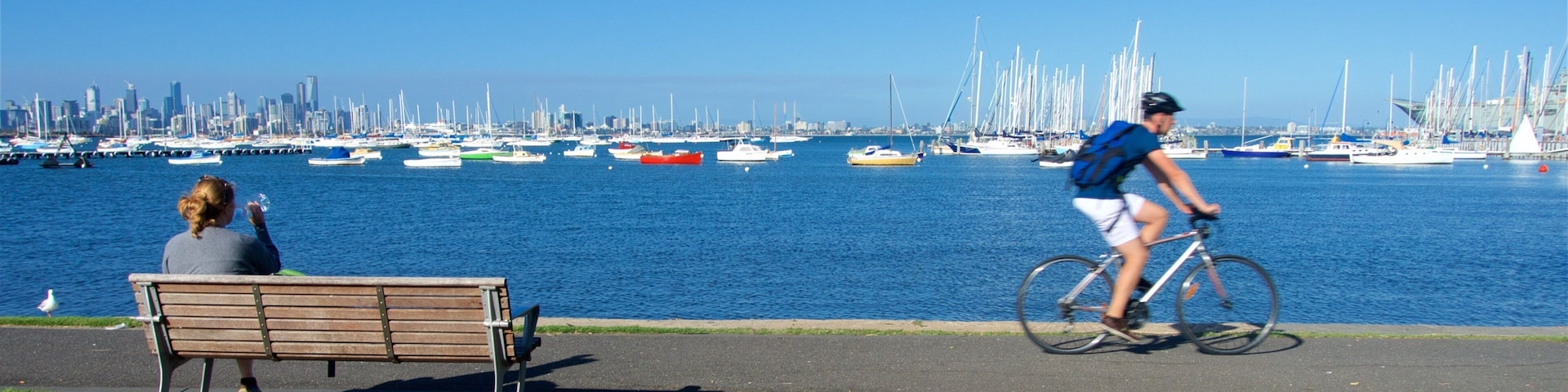 Williamstown featuring a bay or harbor, a park and cycling