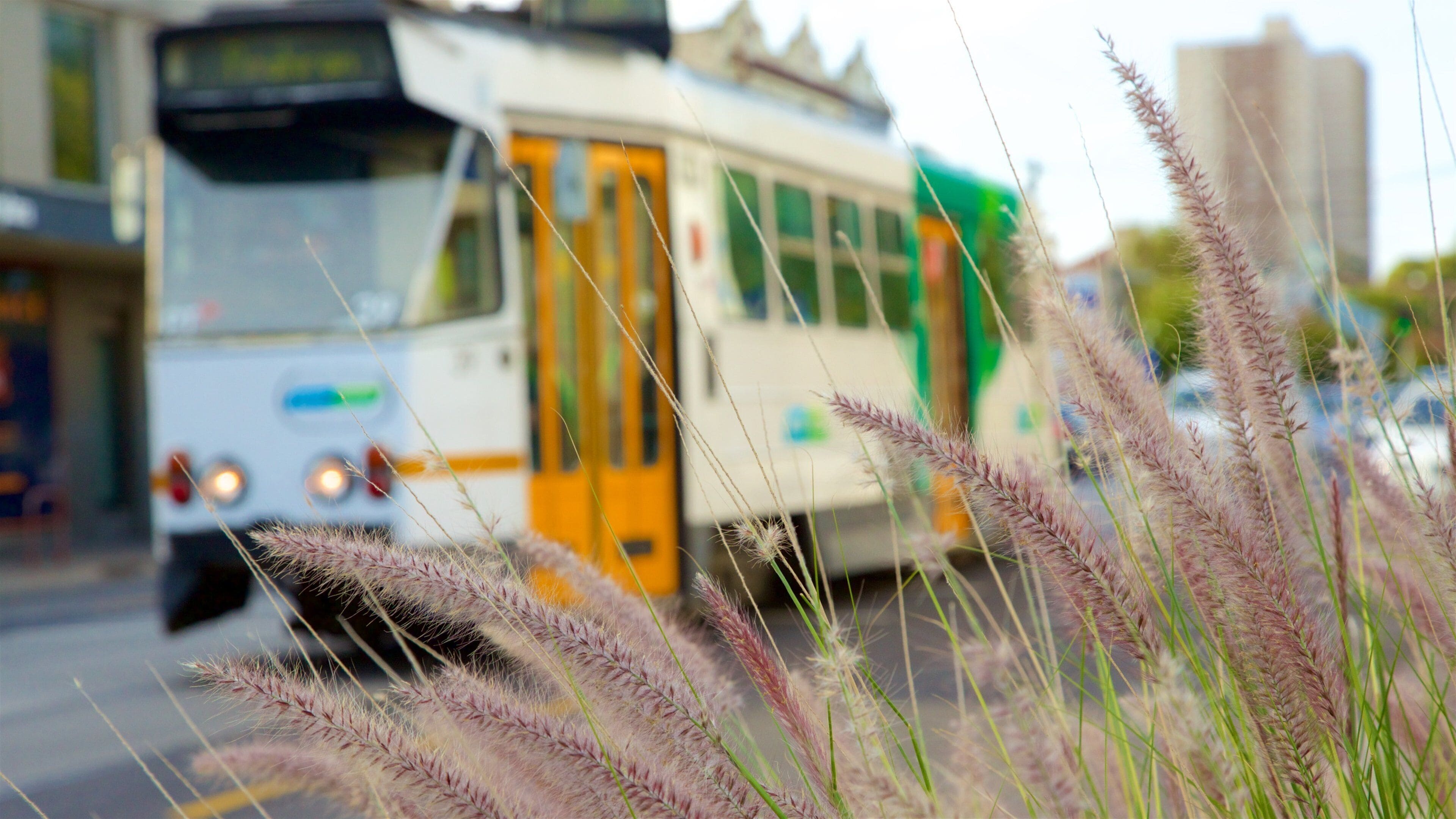 Richmond som viser rundrejse i køretøj