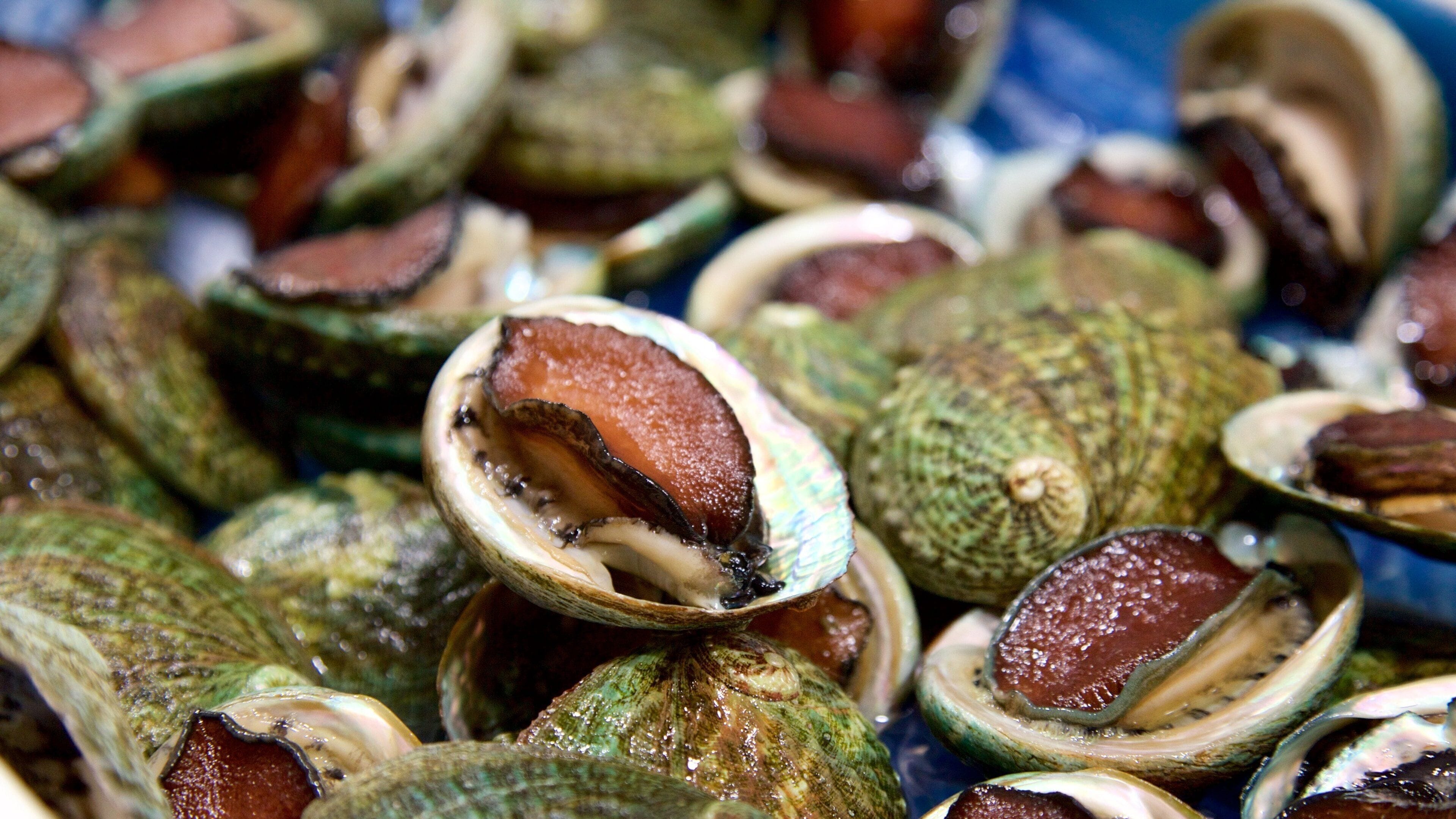 Richmond ofreciendo mercados y comida