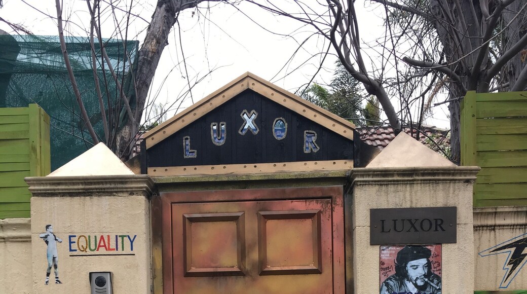I love a door. Usually I take photos of old doors but this one also brings me joy. It belongs to Molly Meldrum, an absolute Australian legend from the music industry. The fence walls and the door display all his loves. He is a passionate man.
https://themusicnetwork.com/molly-meldrum-unveils-statue-gets-inducted-into-the-age-music-victoria-awards-hall-of-fame/