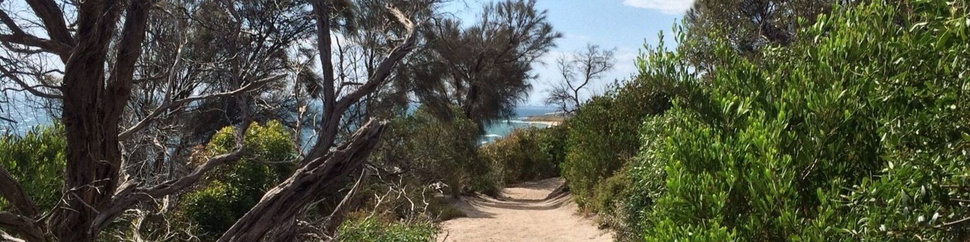 Beach Park in Sandringham, Victoria; AUSTRALIA on Christmas afternoon.
This coastal walk hugs the cliff tops between Sandringham and Half Moon bay at Blackrock... and beyond. There is intermittent access trails down onto the bayside beach.
This shot was taken on the way back to Sandringham - a path wearing many footprints!