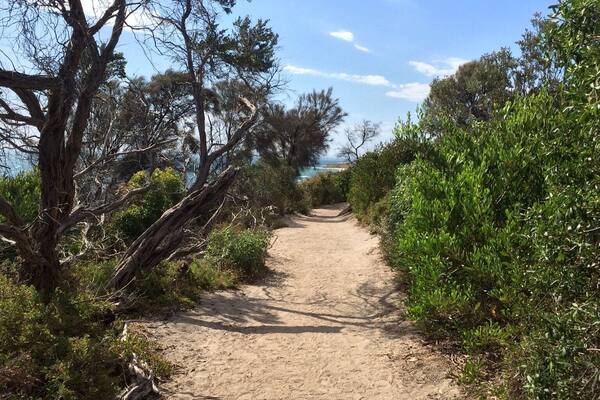 Beach Park in Sandringham, Victoria; AUSTRALIA on Christmas afternoon.
This coastal walk hugs the cliff tops between Sandringham and Half Moon bay at Blackrock... and beyond. There is intermittent access trails down onto the bayside beach.
This shot was taken on the way back to Sandringham - a path wearing many footprints!