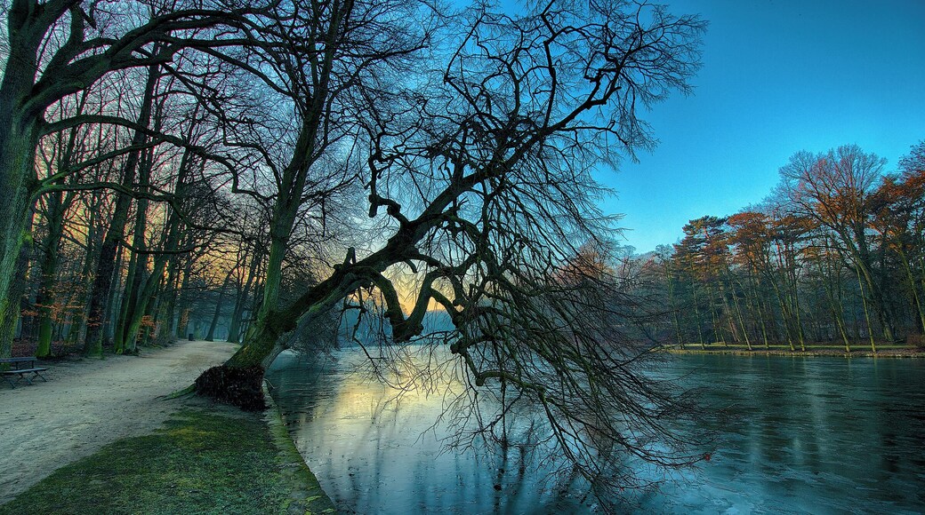 500px Photo ID: 59583660 - Bois de la Cambre, Brussels.