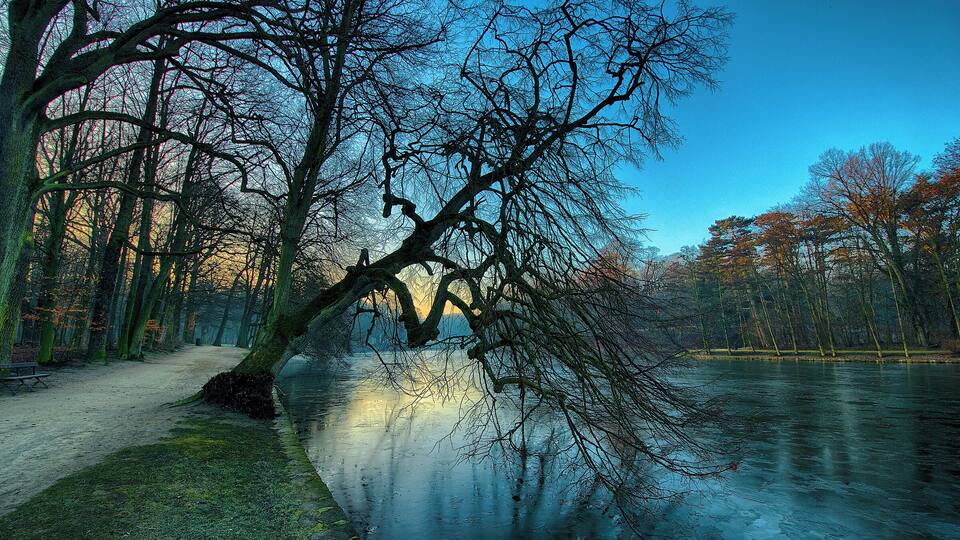 A serene lakeside path with bare trees and a bench.