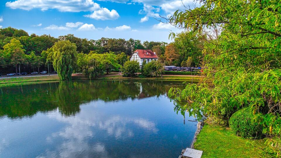 A calm lake with a house in the background, surrounded by lush greenery and trees.