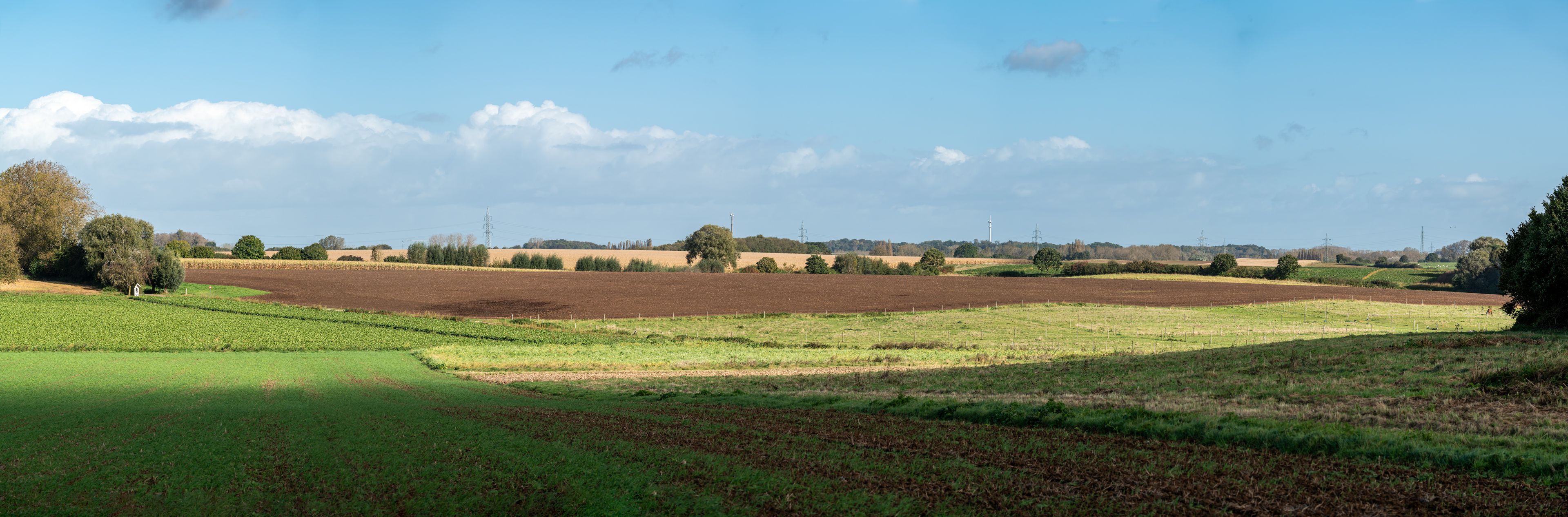 Colorful agriculture fields and hills at the Flemish countryside around Relegem, Belgium