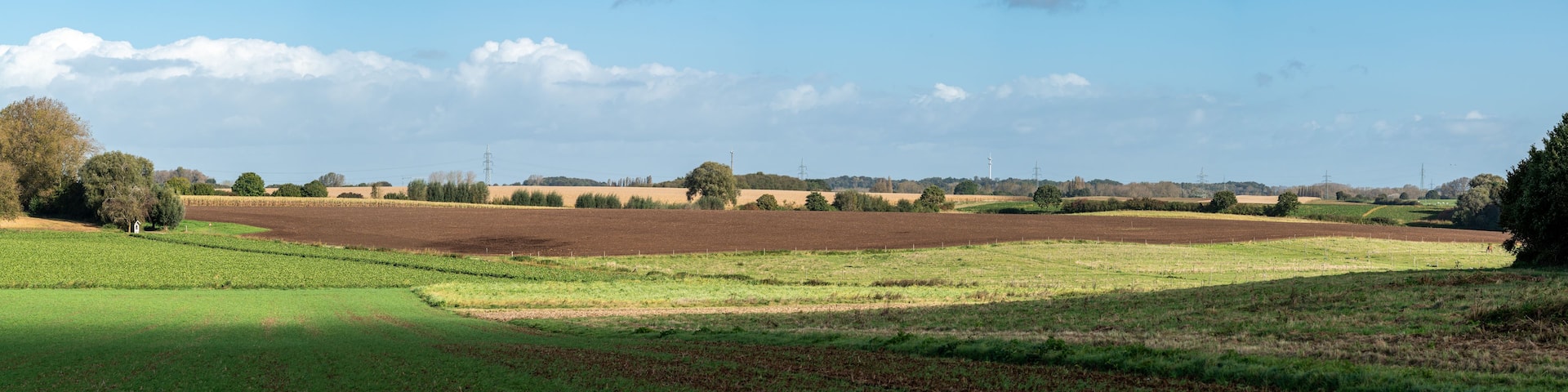 A rural landscape with fields, trees, and distant power lines.