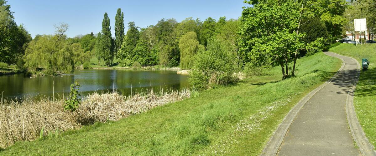 Chemin en bitume entre l'un des étangs et l'avenue de Tervuren en pleine nature luxuriante du parc de Woluwe à Woluwé-St-Pierre