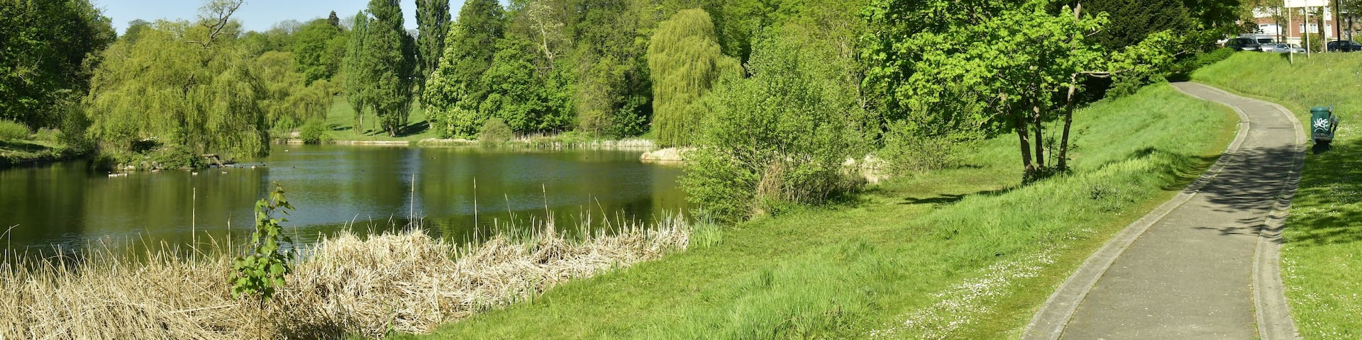 Chemin en bitume entre l'un des étangs et l'avenue de Tervuren en pleine nature luxuriante du parc de Woluwe à Woluwé-St-Pierre