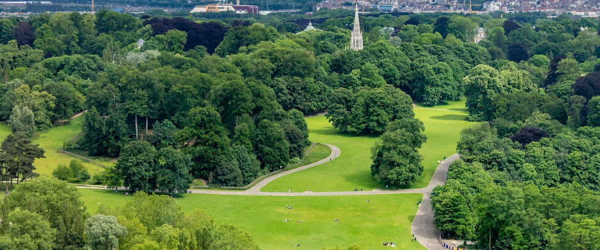 Un parc avec une vaste pelouse verdoyante, un sentier sinueux et une tour imposante qui se profile à l’horizon.