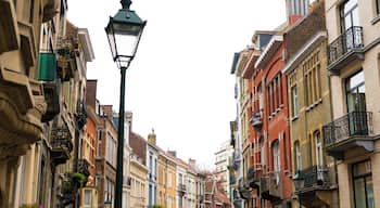 Town houses in the City of Brussels, Saint-Gilles district, Belgium.