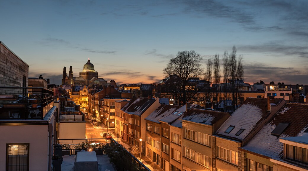 Une vue sur la ville au crépuscule, avec des toits enneigés, un bâtiment imposant en forme de dôme et un ciel dégagé.
