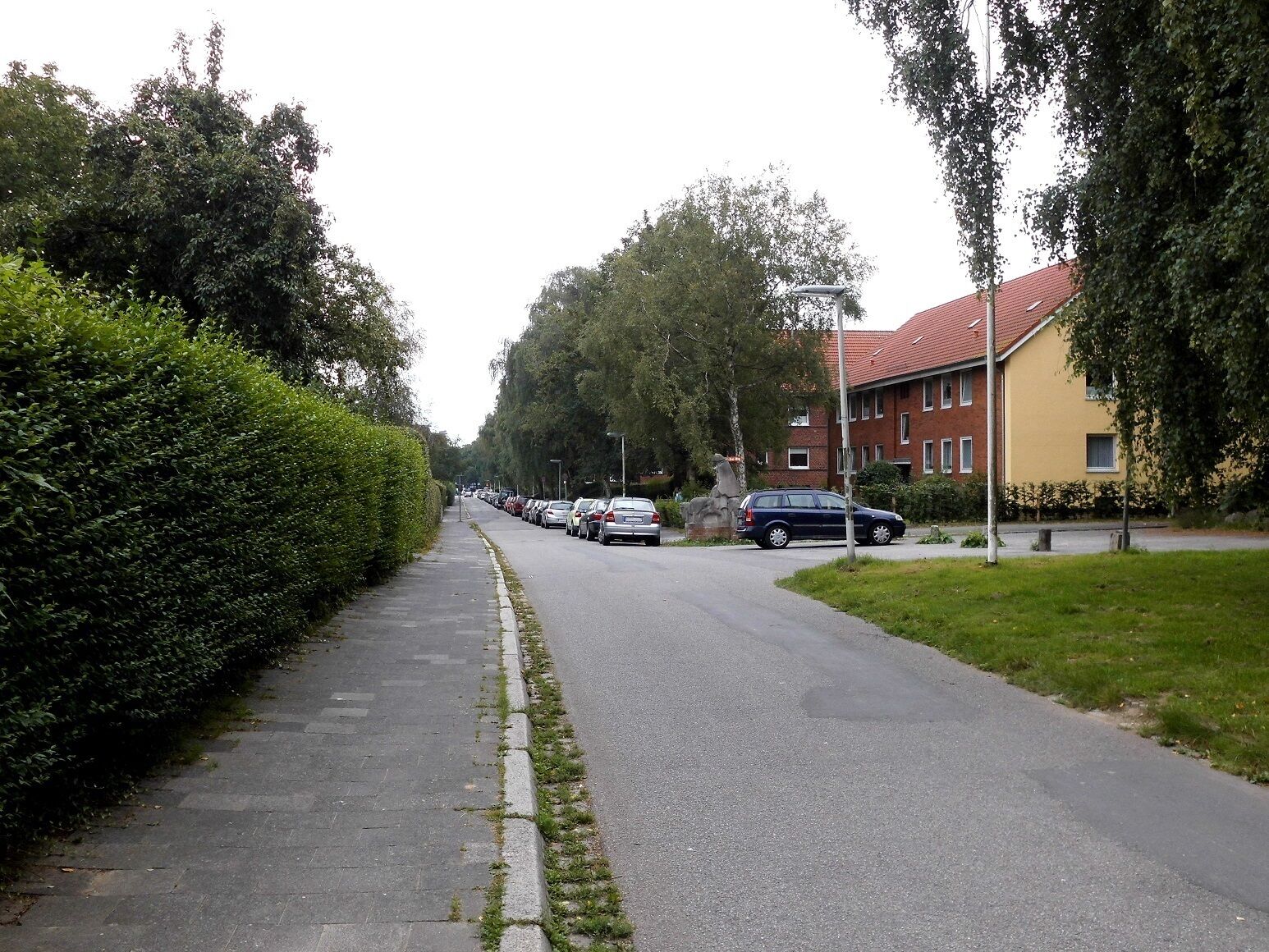 Die Langenbeckstraße im Kieler Stadtteil Schreventeich.