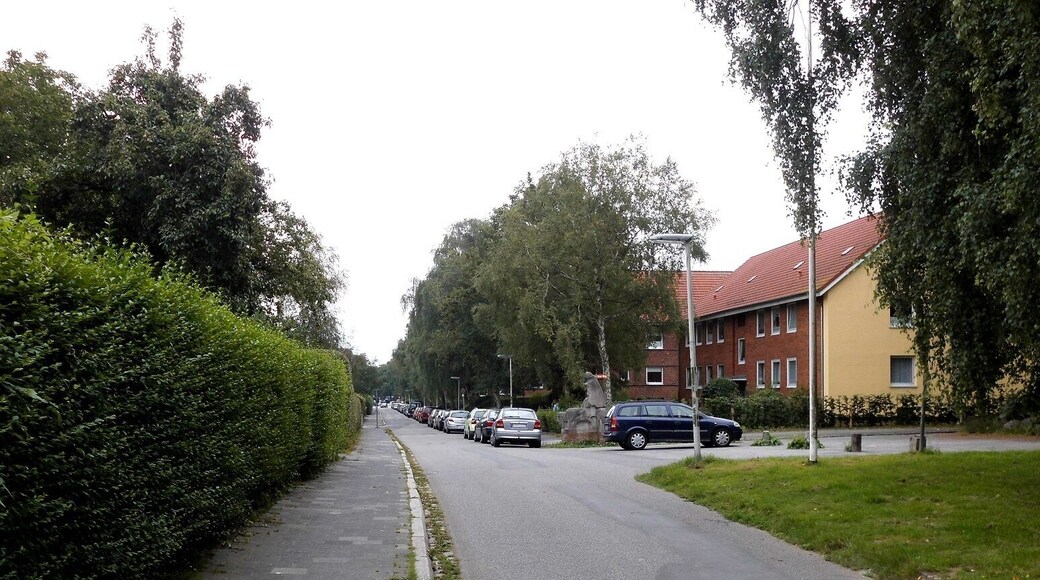 Die Langenbeckstraße im Kieler Stadtteil Schreventeich.