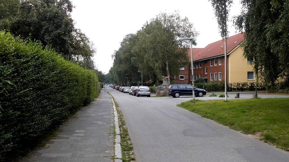 A residential street lined with parked cars and a row of houses with red roofs.