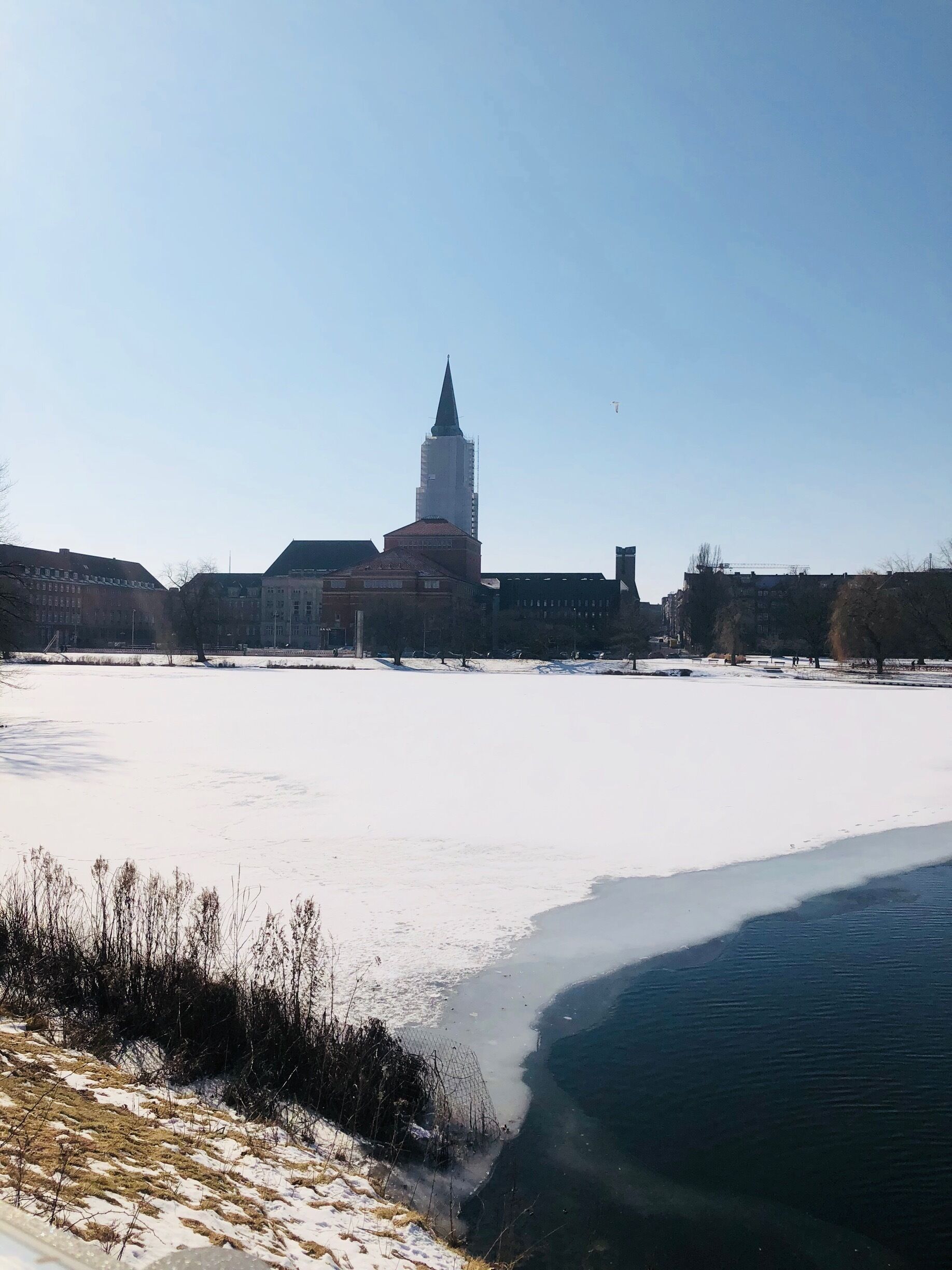 The last snow of this winter! 