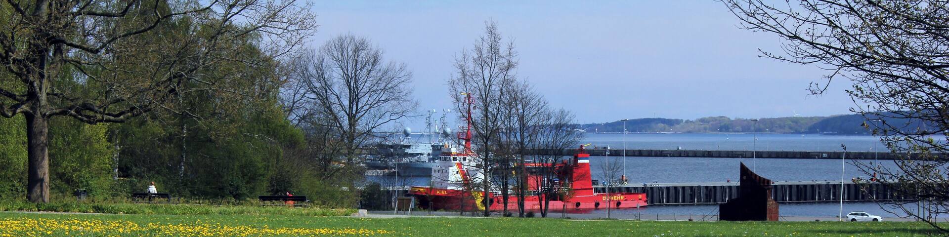 A field of yellow flowers, a red ship, and a body of water with a bridge in the background.