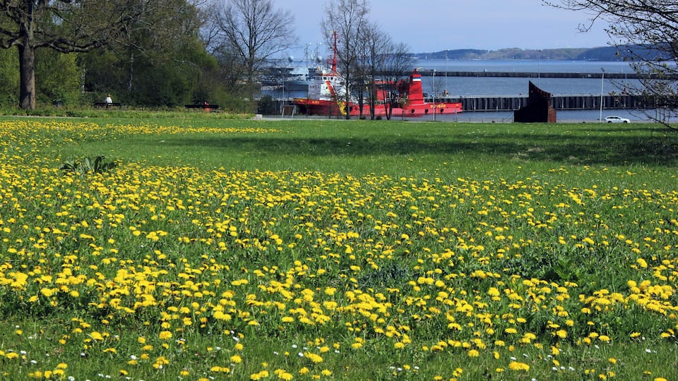 Blick über den Tirpitzhafen und die Kieler Förde mit der Plastik "Hafen 77" (1977) von Felix Fehlmann an der Kiellinie in der Wik, Kiel (s. KUNST@SH - Felix Fehlmann, Hafen 77).
