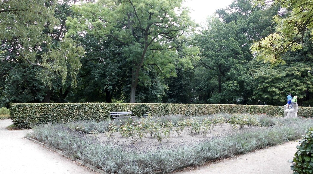 Rosengarten im Schrevenpark im Kieler Stadtteil Schreventeich.