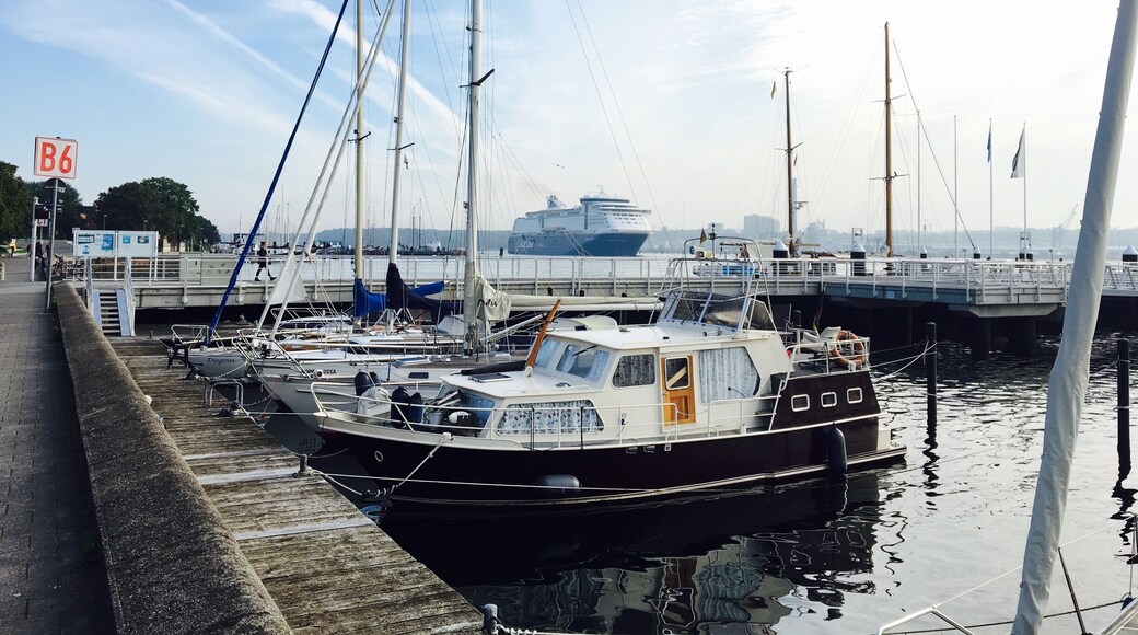 Color Line sighting at 9:30 am every morning.