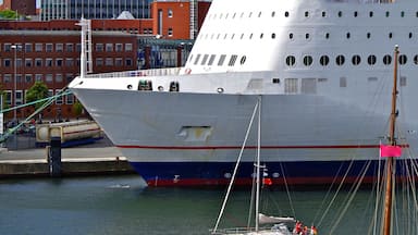 Um grande cruzeiro branco atracado em um porto, com um horizonte urbano ao fundo, incluindo uma torre do relógio e edifícios modernos.