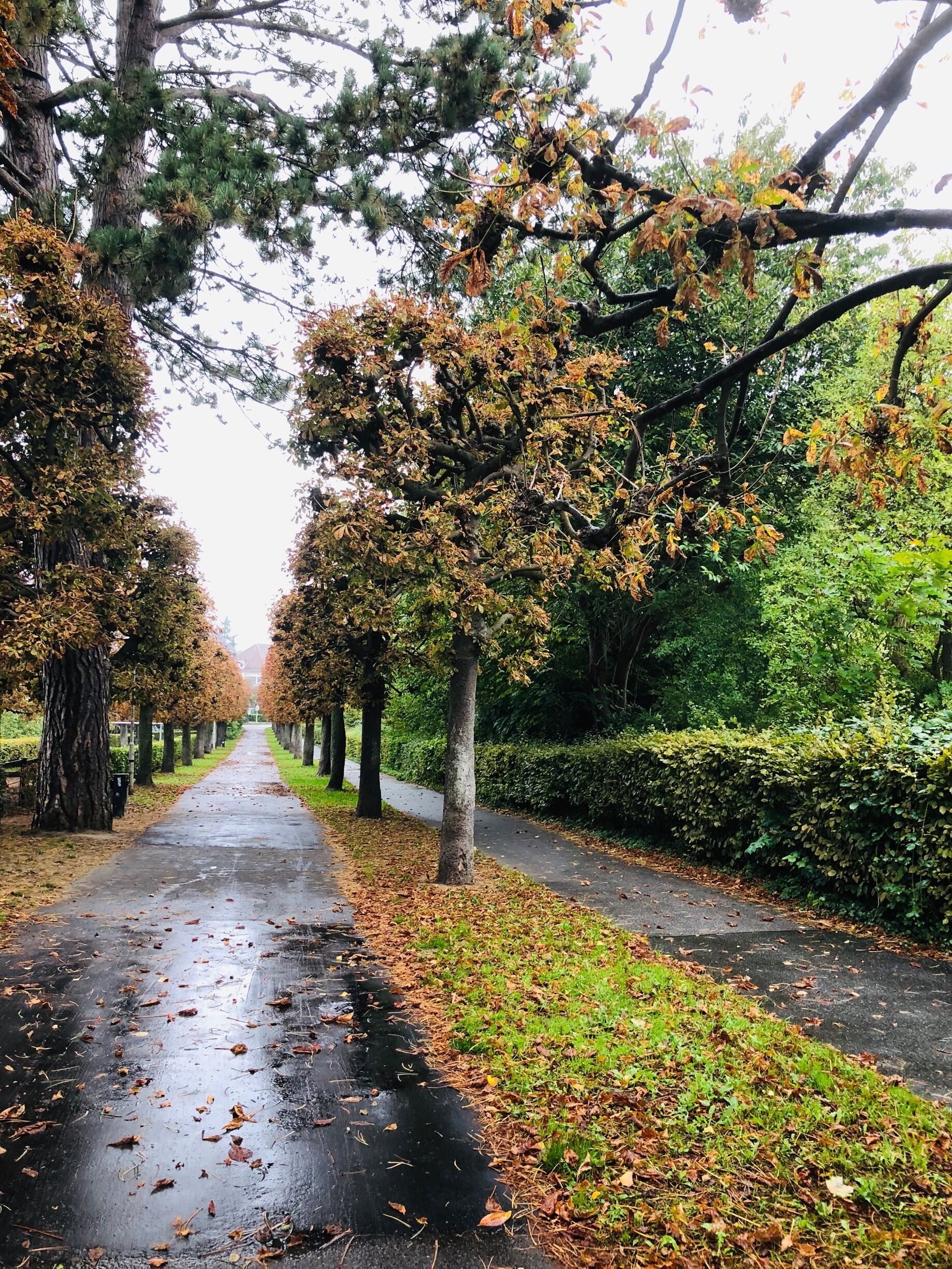 Fall has arrived in Kiel.