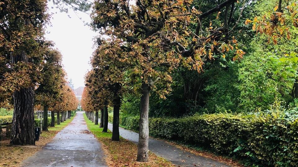 Fall has arrived in Kiel.