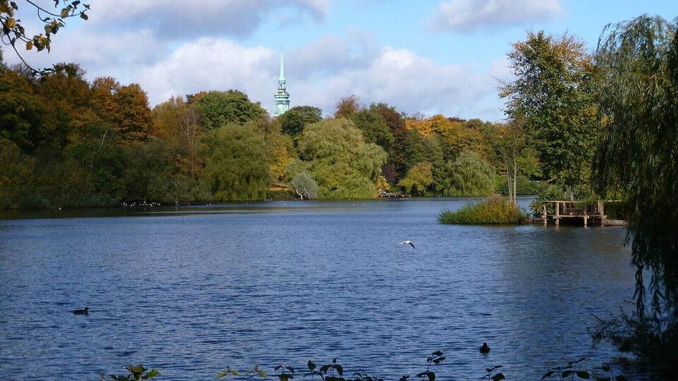 A lake with ducks, a tower, and autumn trees.
