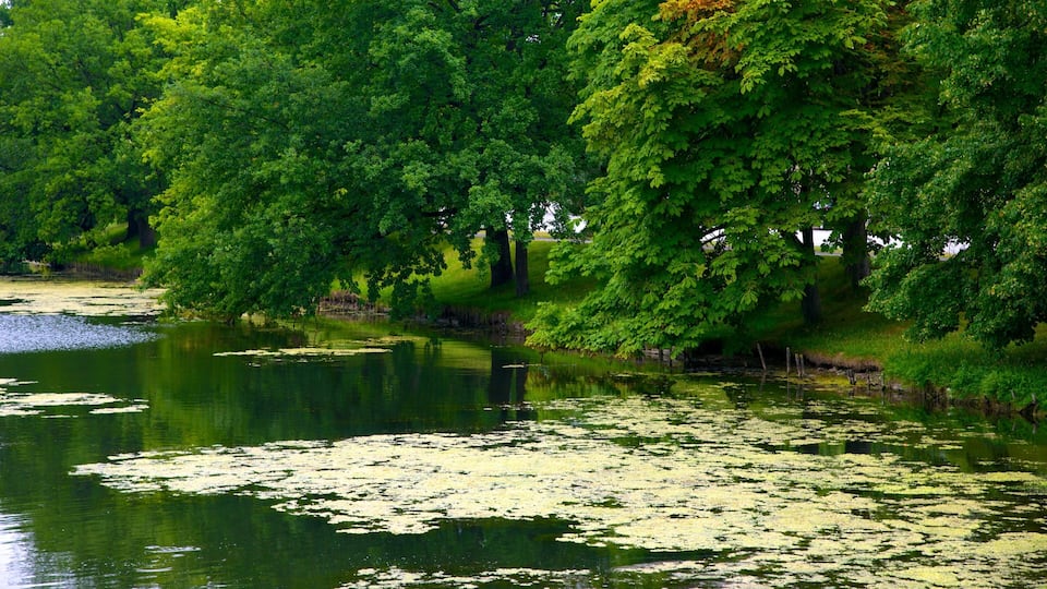 Kiel which includes a garden and a lake or waterhole