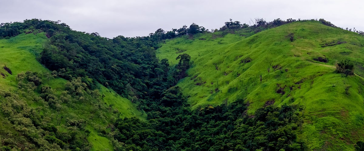 A lush green valley with dense forest and rolling hills.