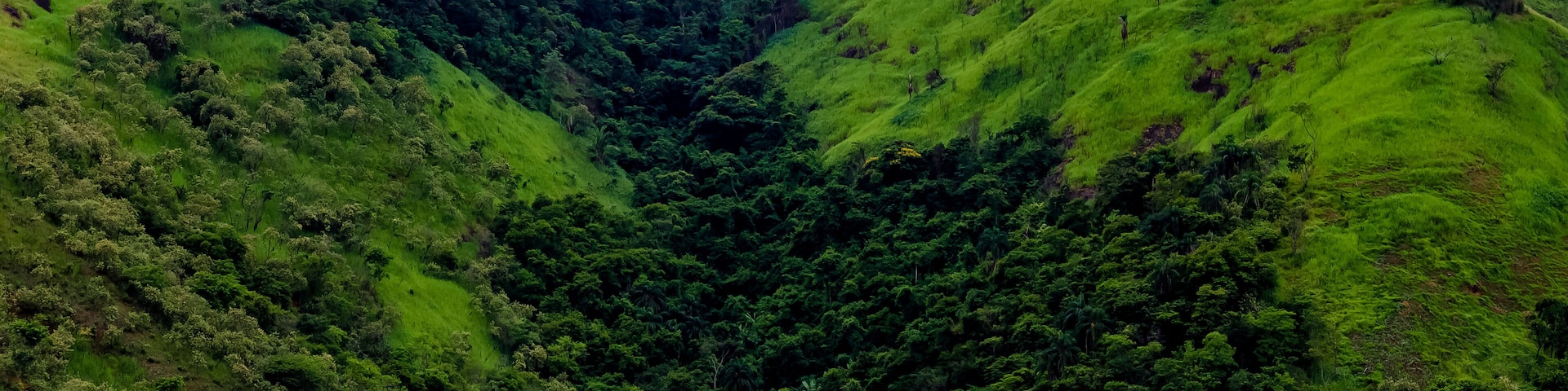 A lush green valley with dense forest and rolling hills.