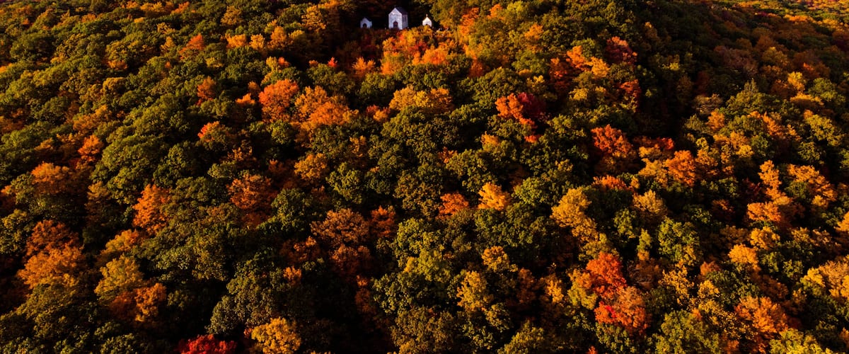 A forested hill with autumn foliage and two white buildings.