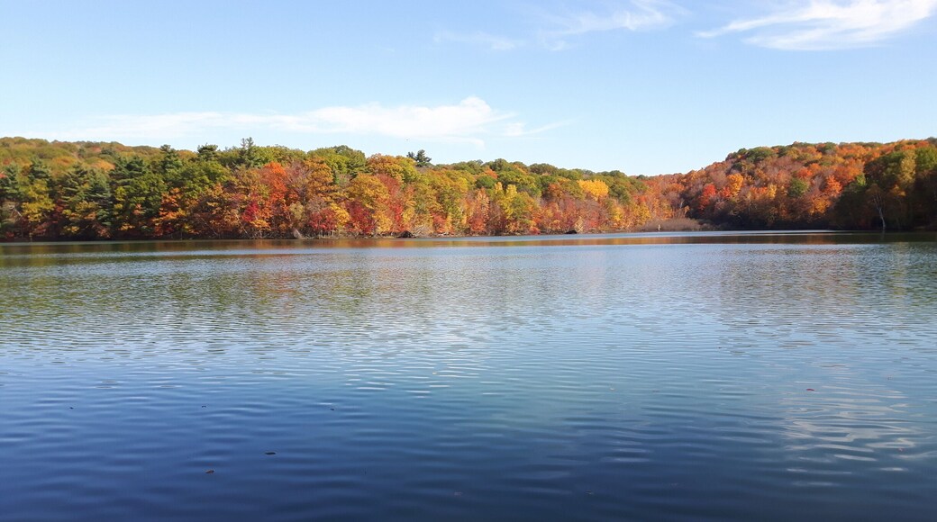 Hiking at Mont-Bruno.
"Seigneurial" lake.