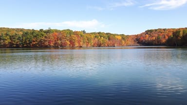 A calm lake surrounded by autumn-colored trees.