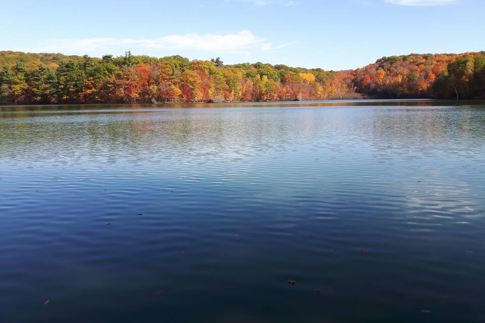 A calm lake surrounded by autumn-colored trees.