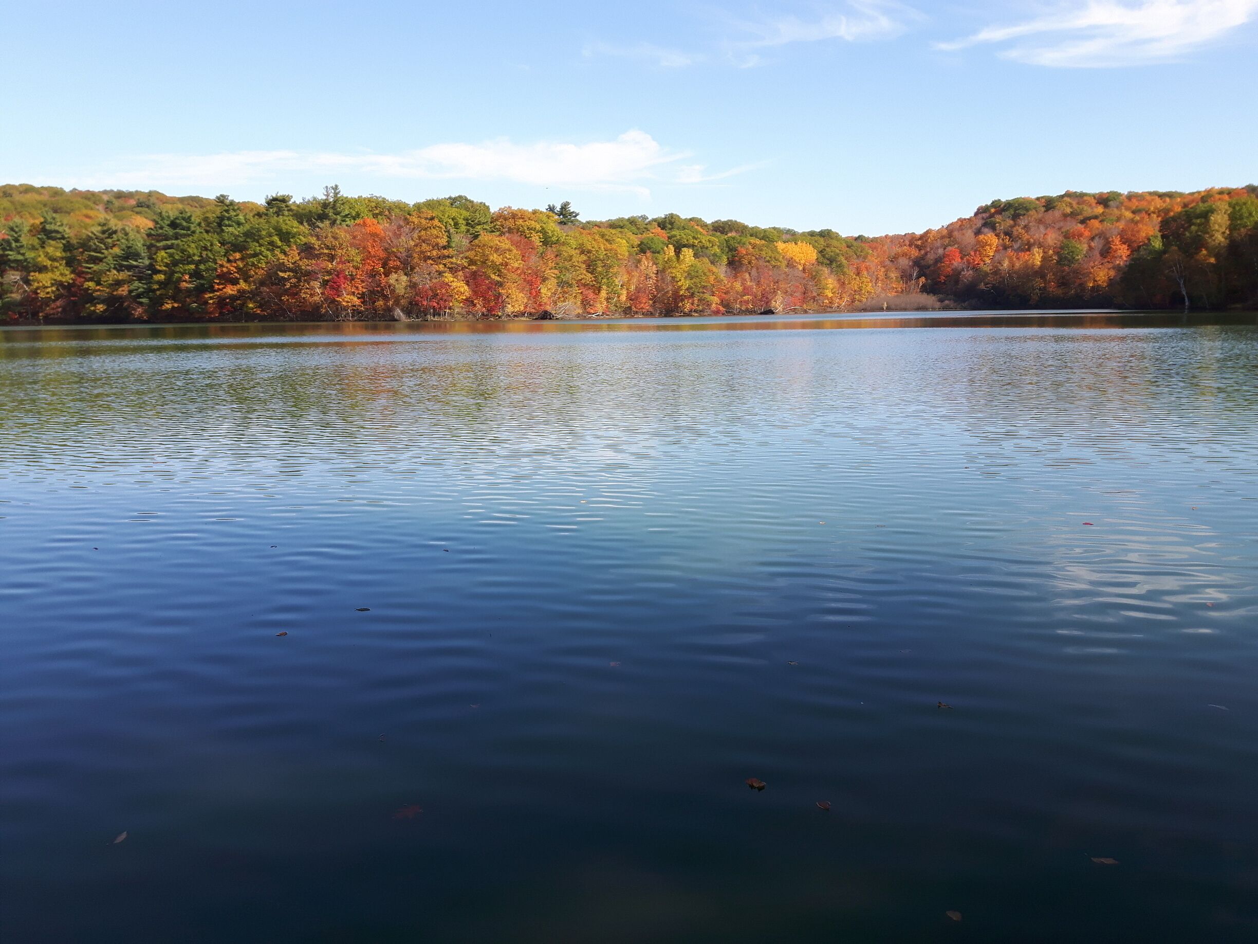 A calm lake surrounded by autumn-colored trees.
